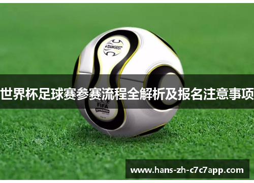 世界杯足球赛参赛流程全解析及报名注意事项