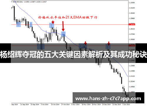 杨绍辉夺冠的五大关键因素解析及其成功秘诀 杨绍辉夺冠的五大关键因素解析及其成功秘诀