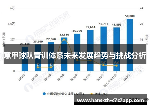 意甲球队青训体系未来发展趋势与挑战分析 意甲球队青训体系未来发展趋势与挑战分析