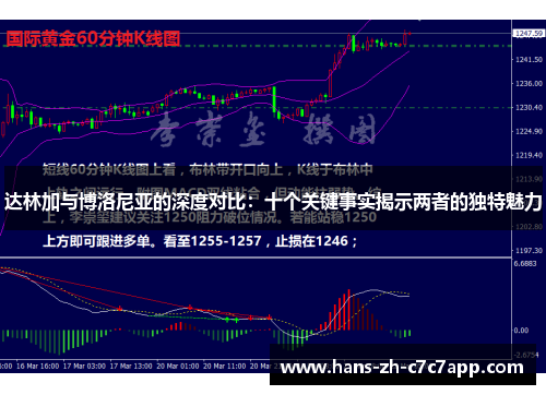 达林加与博洛尼亚的深度对比：十个关键事实揭示两者的独特魅力