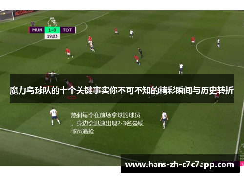 魔力鸟球队的十个关键事实你不可不知的精彩瞬间与历史转折 魔力鸟球队的十个关键事实你不可不知的精彩瞬间与历史转折